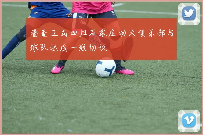 潘奎正式回归石家庄功夫俱乐部与球队达成一致协议